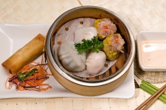 Lunch Special Dim Sum Combo
